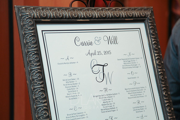 CarrieWill2015-495