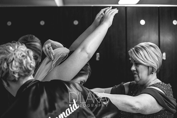 FreeseWedding-029