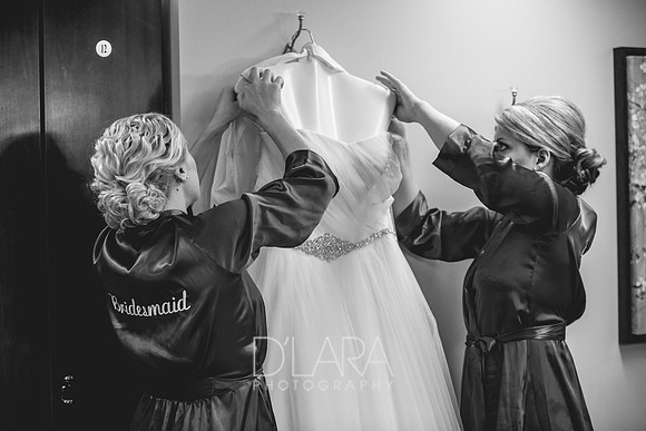 FreeseWedding-027