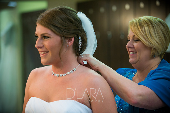 FreeseWedding-050