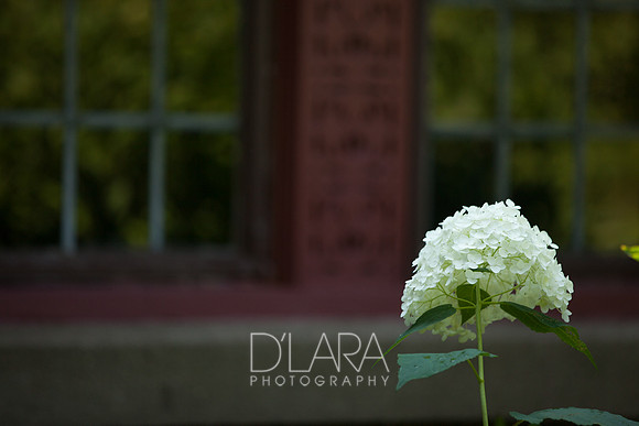 JaneAngieWed-112