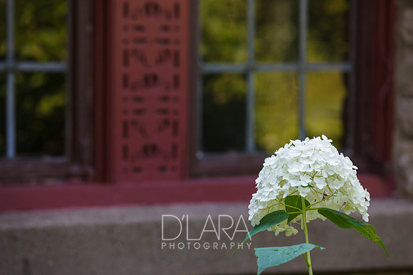 JaneAngieWed-111